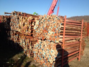 popi, constructii, reglabili, vopsiti, pret, vanzare